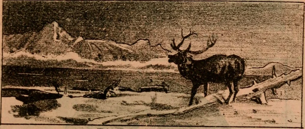 An illustration from Catalogue : Carter's oil chromos, Carter's popular crayons., 1877, leaf 40