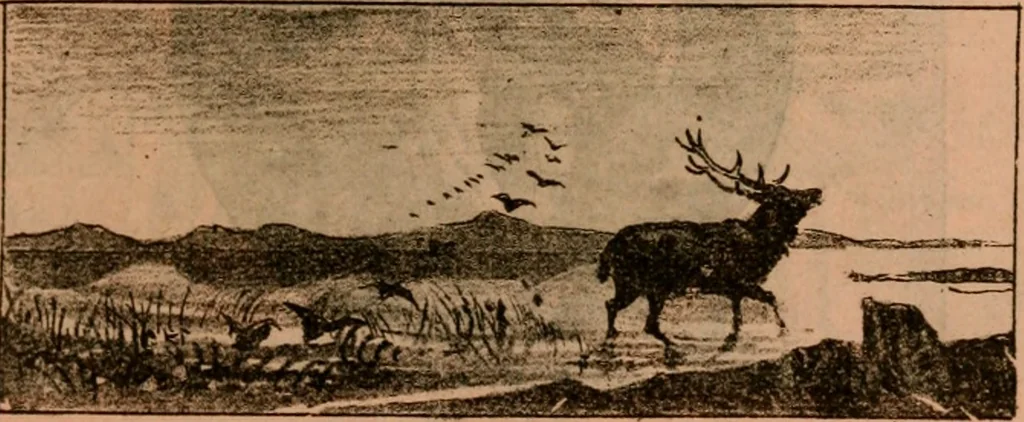 An illustration from Catalogue : Carter's oil chromos, Carter's popular crayons., 1877, leaf 40