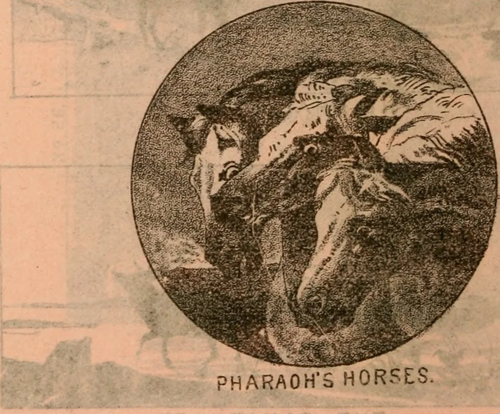 An illustration from Catalogue : Carter's oil chromos, Carter's popular crayons., 1877, leaf 41