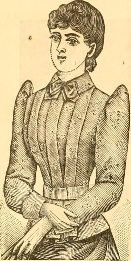 An illustration from Catalogue containing illustrations and price lists of Newman & Levinson .., 1891, leaf 111