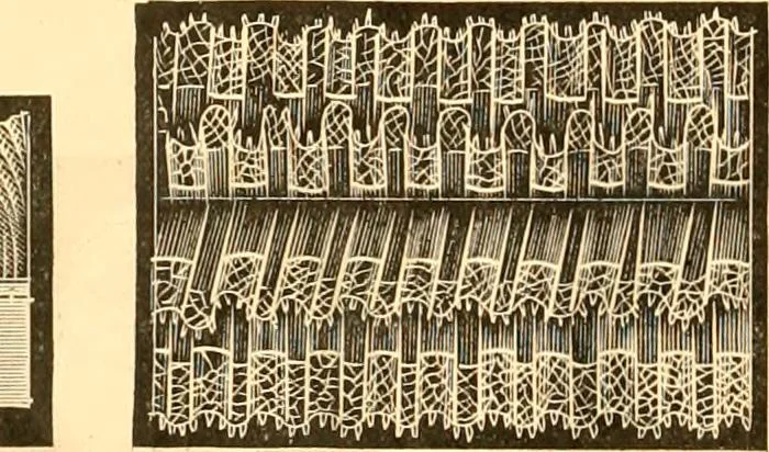 An illustration from Catalogue containing illustrations and price lists of Newman & Levinson .., 1891, leaf 113