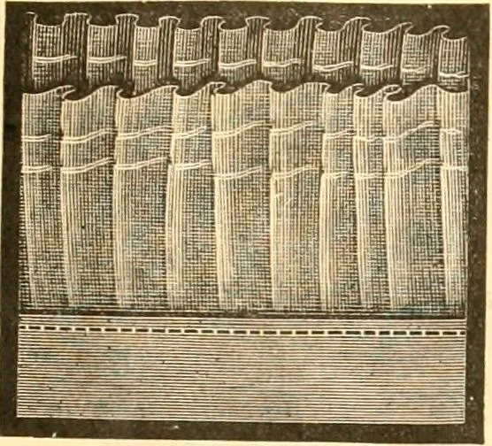 An illustration from Catalogue containing illustrations and price lists of Newman & Levinson .., 1891, leaf 114