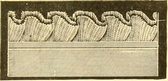 An illustration from Catalogue containing illustrations and price lists of Newman & Levinson .., 1891, leaf 114