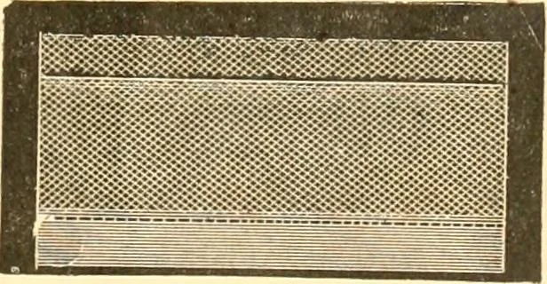 An illustration from Catalogue containing illustrations and price lists of Newman & Levinson .., 1891, leaf 114