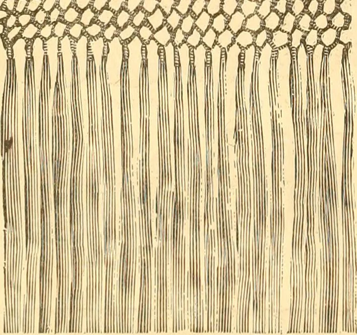 An illustration from Catalogue containing illustrations and price lists of Newman & Levinson .., 1891, leaf 117