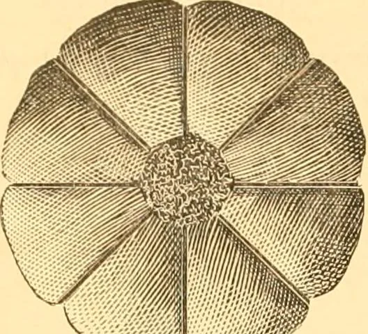 An illustration from Catalogue containing illustrations and price lists of Newman & Levinson .., 1891, leaf 123