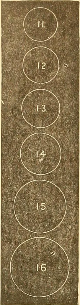 An illustration from Catalogue containing illustrations and price lists of Newman & Levinson .., 1891, leaf 23