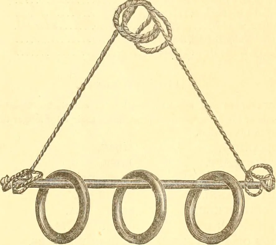An illustration from Catalogue containing illustrations and price lists of Newman & Levinson .., 1891, leaf 24