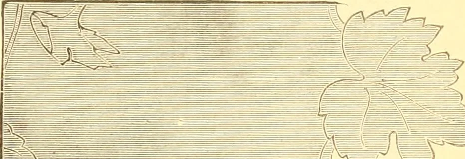 An illustration from Catalogue containing illustrations and price lists of Newman & Levinson .., 1891, leaf 26