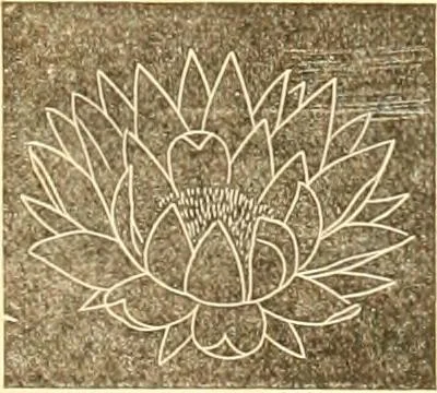 An illustration from Catalogue containing illustrations and price lists of Newman & Levinson .., 1891, leaf 26