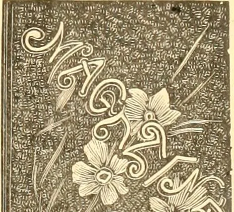 An illustration from Catalogue containing illustrations and price lists of Newman & Levinson .., 1891, leaf 40