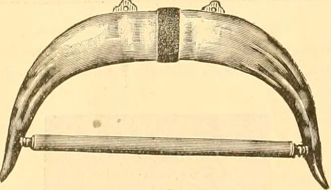 An illustration from Catalogue containing illustrations and price lists of Newman & Levinson .., 1891, leaf 41