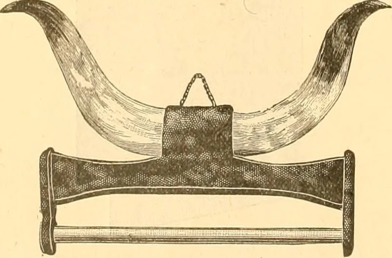 An illustration from Catalogue containing illustrations and price lists of Newman & Levinson .., 1891, leaf 41