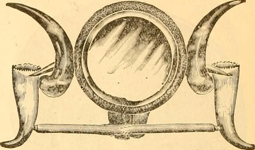 An illustration from Catalogue containing illustrations and price lists of Newman & Levinson .., 1891, leaf 41