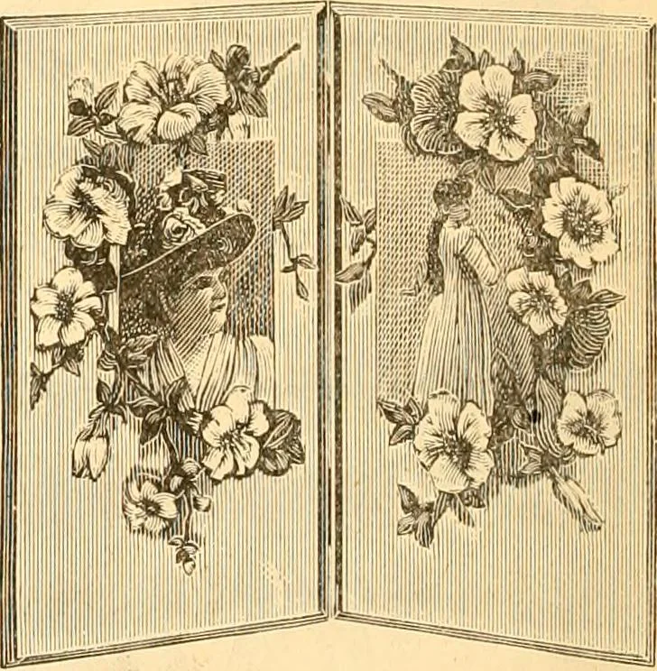 An illustration from Catalogue containing illustrations and price lists of Newman & Levinson .., 1891, leaf 41