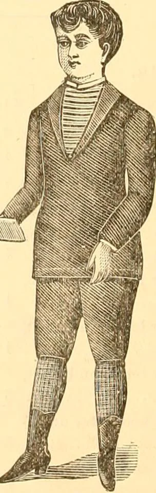 An illustration from Catalogue containing illustrations and price lists of Newman & Levinson .., 1891, leaf 59