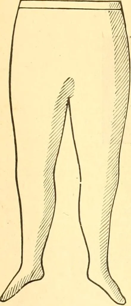 An illustration from Catalogue containing illustrations and price lists of Newman & Levinson .., 1891, leaf 60