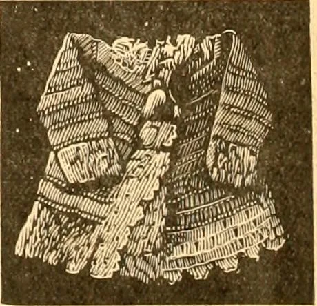 An illustration from Catalogue containing illustrations and price lists of Newman & Levinson .., 1891, leaf 65
