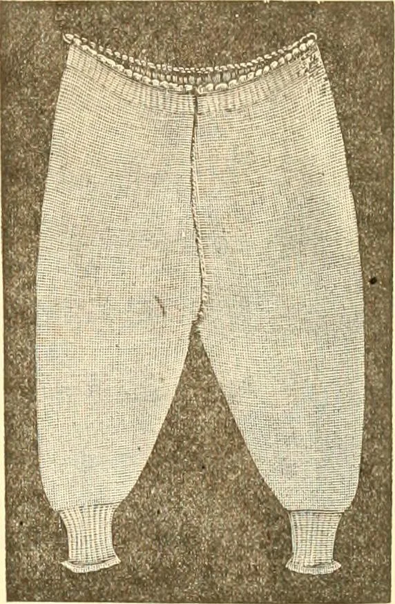 An illustration from Catalogue containing illustrations and price lists of Newman & Levinson .., 1891, leaf 70