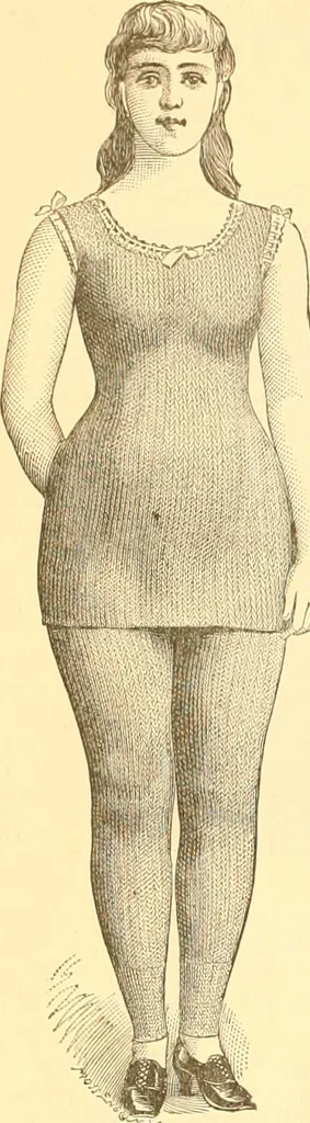 An illustration from Catalogue containing illustrations and price lists of Newman & Levinson .., 1891, leaf 71