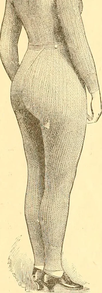 An illustration from Catalogue containing illustrations and price lists of Newman & Levinson .., 1891, leaf 73