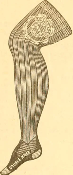 An illustration from Catalogue containing illustrations and price lists of Newman & Levinson .., 1891, leaf 79