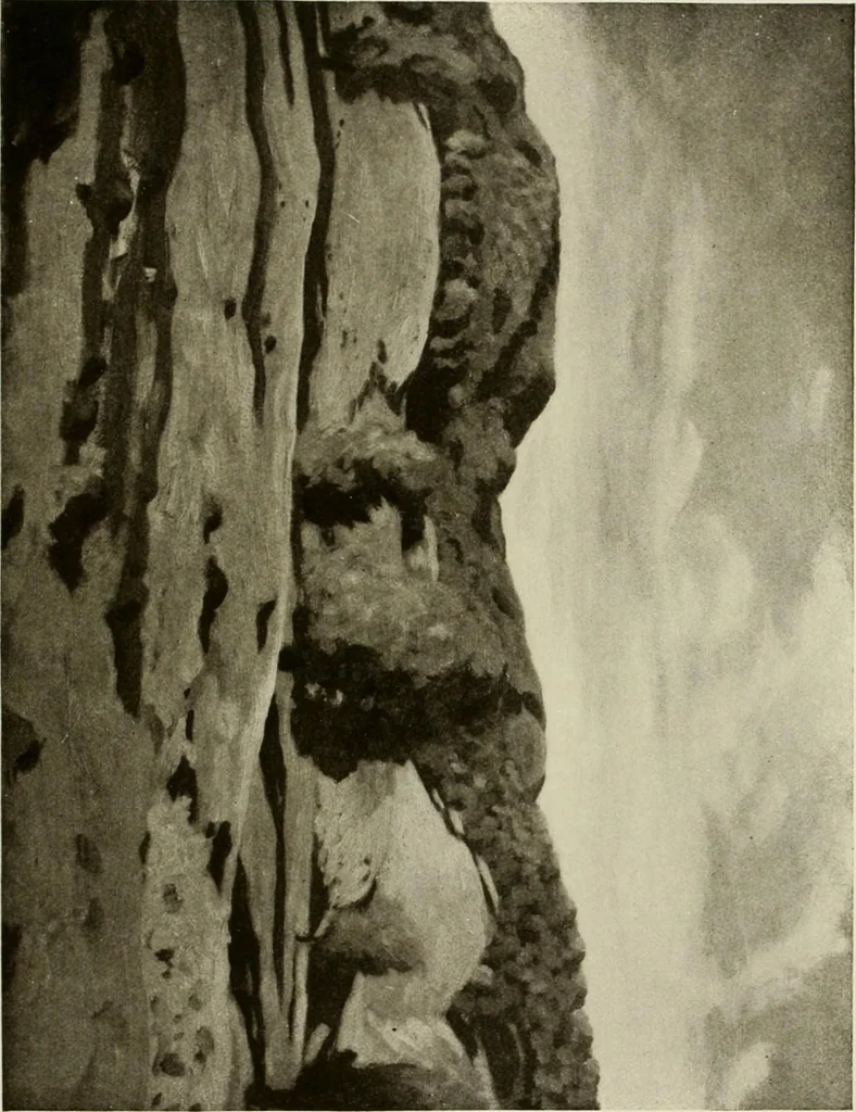 An illustration from Catalogue de luxe of the Department of Fine Arts, Panama-Pacific International Exposition, 1915, leaf 410