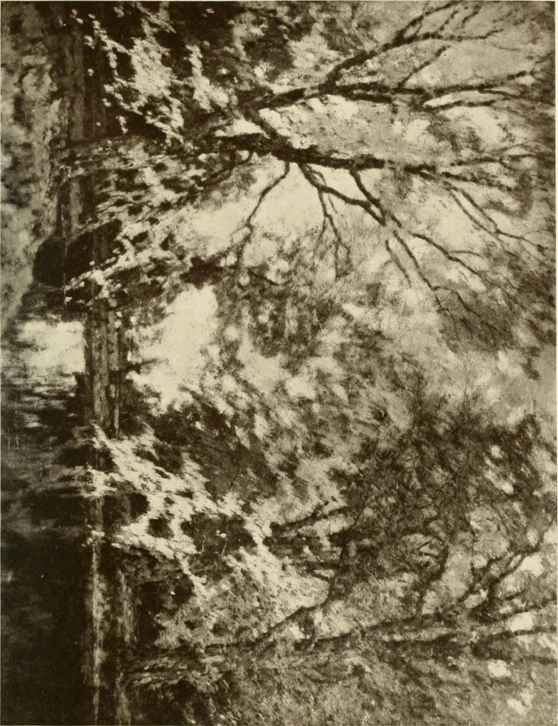 An illustration from Catalogue de luxe of the Department of Fine Arts, Panama-Pacific International Exposition, 1915, leaf 62