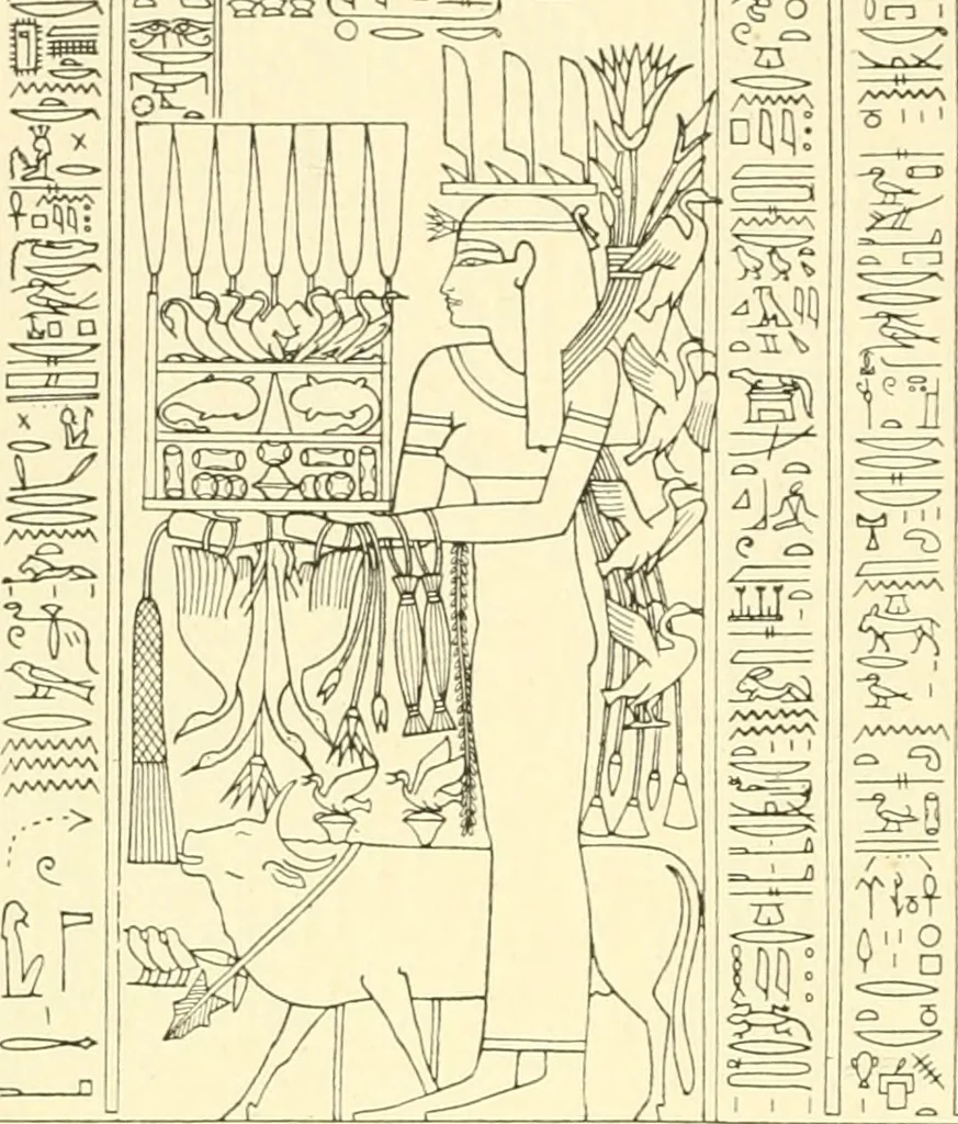 An illustration from Catalogue des monuments et inscriptions de l'Égypte antique / publié sous les auspices de S.A. Abbas II Helmi par la direction générale du Service des antiquités [de l'Égypte] ; par J. de Morgan, U. Bouriant, G. Legrain, G. Jéquier, A. Barsanti, 1894, leaf 107