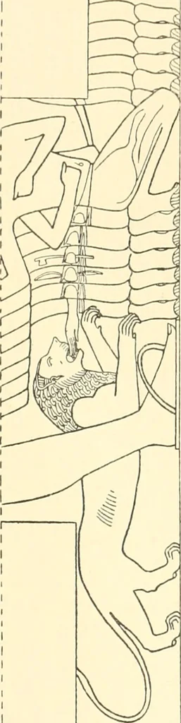 An illustration from Catalogue des monuments et inscriptions de l'Égypte antique / publié sous les auspices de S.A. Abbas II Helmi par la direction générale du Service des antiquités [de l'Égypte] ; par J. de Morgan, U. Bouriant, G. Legrain, G. Jéquier, A. Barsanti, 1894, leaf 158