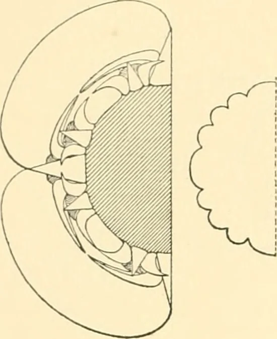 An illustration from Catalogue des monuments et inscriptions de l'Égypte antique / publié sous les auspices de S.A. Abbas II Helmi par la direction générale du Service des antiquités [de l'Égypte] ; par J. de Morgan, U. Bouriant, G. Legrain, G. Jéquier, A. Barsanti, 1894, leaf 237