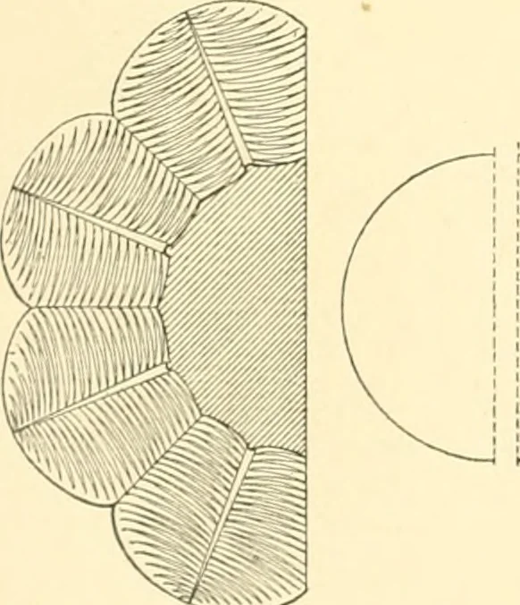 An illustration from Catalogue des monuments et inscriptions de l'Égypte antique / publié sous les auspices de S.A. Abbas II Helmi par la direction générale du Service des antiquités [de l'Égypte] ; par J. de Morgan, U. Bouriant, G. Legrain, G. Jéquier, A. Barsanti, 1894, leaf 237