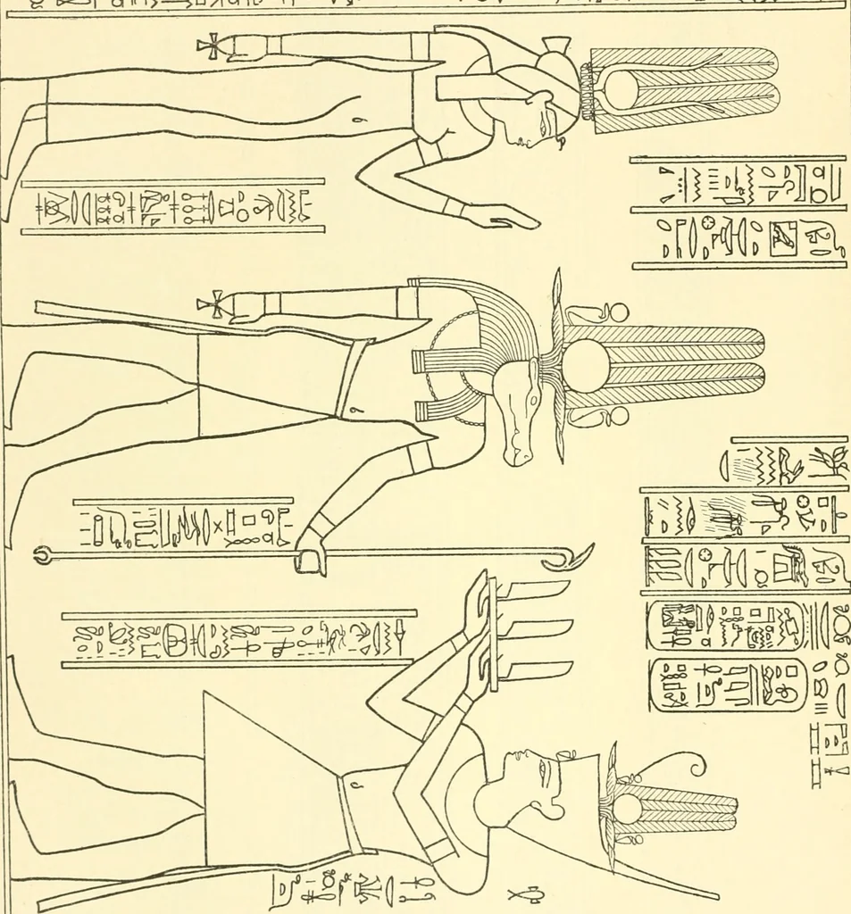 An illustration from Catalogue des monuments et inscriptions de l'Égypte antique / publié sous les auspices de S.A. Abbas II Helmi par la direction générale du Service des antiquités [de l'Égypte] ; par J. de Morgan, U. Bouriant, G. Legrain, G. Jéquier, A. Barsanti, 1894, leaf 241