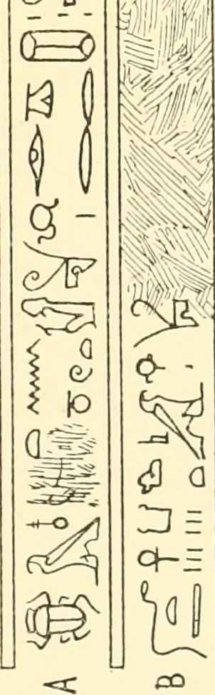 An illustration from Catalogue des monuments et inscriptions de l'Égypte antique / publié sous les auspices de S.A. Abbas II Helmi par la direction générale du Service des antiquités [de l'Égypte] ; par J. de Morgan, U. Bouriant, G. Legrain, G. Jéquier, A. Barsanti, 1894, leaf 264