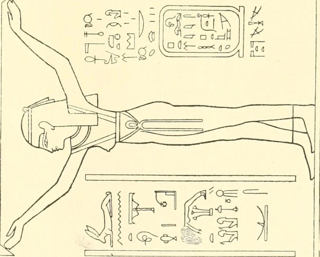 An illustration from Catalogue des monuments et inscriptions de l'Égypte antique / publié sous les auspices de S.A. Abbas II Helmi par la direction générale du Service des antiquités [de l'Égypte] ; par J. de Morgan, U. Bouriant, G. Legrain, G. Jéquier, A. Barsanti, 1894, leaf 280