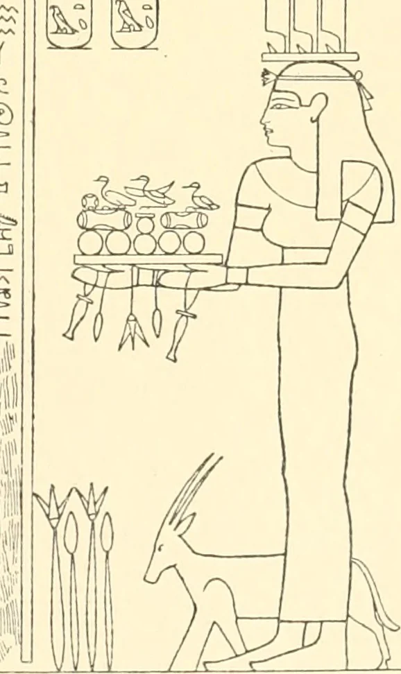 An illustration from Catalogue des monuments et inscriptions de l'Égypte antique / publié sous les auspices de S.A. Abbas II Helmi par la direction générale du Service des antiquités [de l'Égypte] ; par J. de Morgan, U. Bouriant, G. Legrain, G. Jéquier, A. Barsanti, 1894, leaf 342