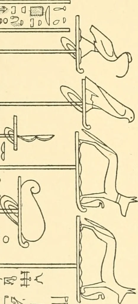 An illustration from Catalogue des monuments et inscriptions de l'Égypte antique / publié sous les auspices de S.A. Abbas II Helmi par la direction générale du Service des antiquités [de l'Égypte] ; par J. de Morgan, U. Bouriant, G. Legrain, G. Jéquier, A. Barsanti, 1894, leaf 365