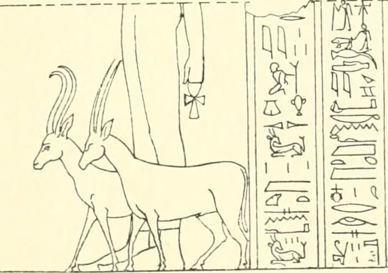 An illustration from Catalogue des monuments et inscriptions de l'Égypte antique / publié sous les auspices de S.A. Abbas II Helmi par la direction générale du Service des antiquités [de l'Égypte] ; par J. de Morgan, U. Bouriant, G. Legrain, G. Jéquier, A. Barsanti, 1894, leaf 118