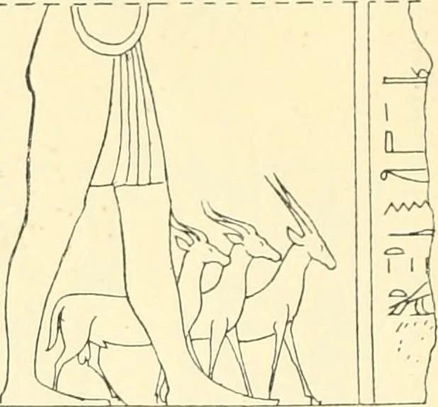 An illustration from Catalogue des monuments et inscriptions de l'Égypte antique / publié sous les auspices de S.A. Abbas II Helmi par la direction générale du Service des antiquités [de l'Égypte] ; par J. de Morgan, U. Bouriant, G. Legrain, G. Jéquier, A. Barsanti, 1894, leaf 121