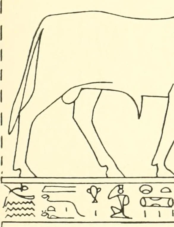 An illustration from Catalogue des monuments et inscriptions de l'Égypte antique / publié sous les auspices de S.A. Abbas II Helmi par la direction générale du Service des antiquités [de l'Égypte] ; par J. de Morgan, U. Bouriant, G. Legrain, G. Jéquier, A. Barsanti, 1894, leaf 22