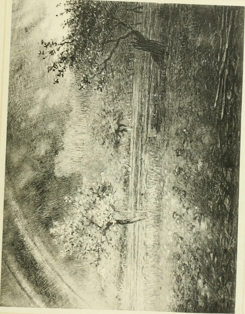 An illustration from Catalogue des tableaux modernes ... sculptures ... tableaux anciens ... tapis-series ... de Ferrare (Italie) 16e siècle ... provenant de la collection de feu Madame A.C... d'A... dont la vente aux enchères ... 14 mai 1920, 1920, leaf 48