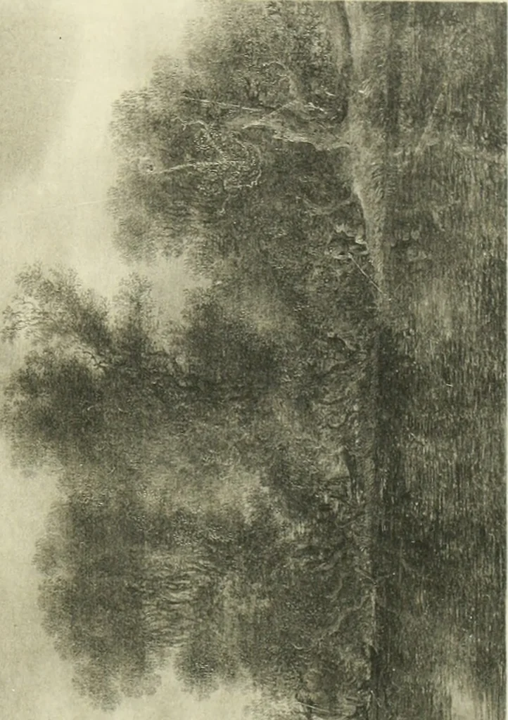 An illustration from Catalogue des tableaux modernes ... sculptures ... tableaux anciens ... tapis-series ... de Ferrare (Italie) 16e siècle ... provenant de la collection de feu Madame A.C... d'A... dont la vente aux enchères ... 14 mai 1920, 1920, leaf 66