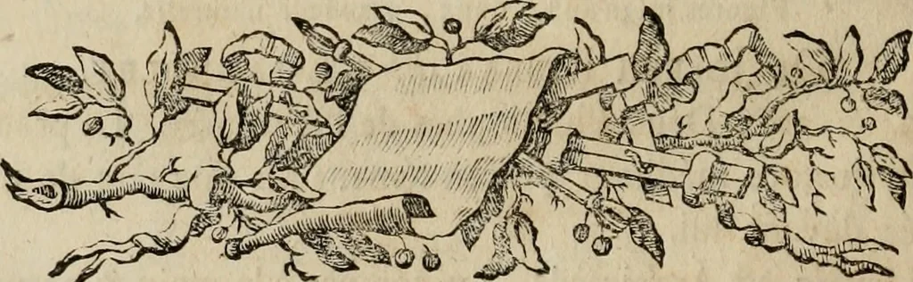 An illustration from Catalogue des tableaux de la Galerie impériale et royale de Vienne, 1784, leaf 103
