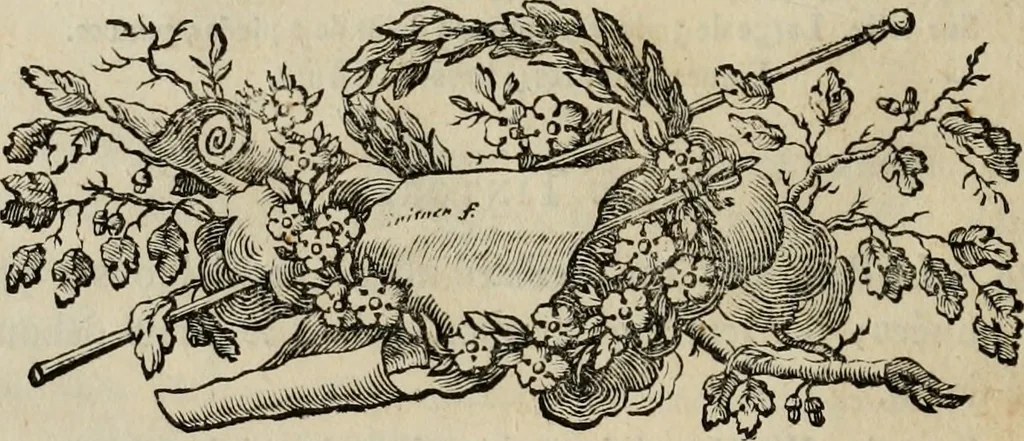 An illustration from Catalogue des tableaux de la Galerie impériale et royale de Vienne, 1784, leaf 53