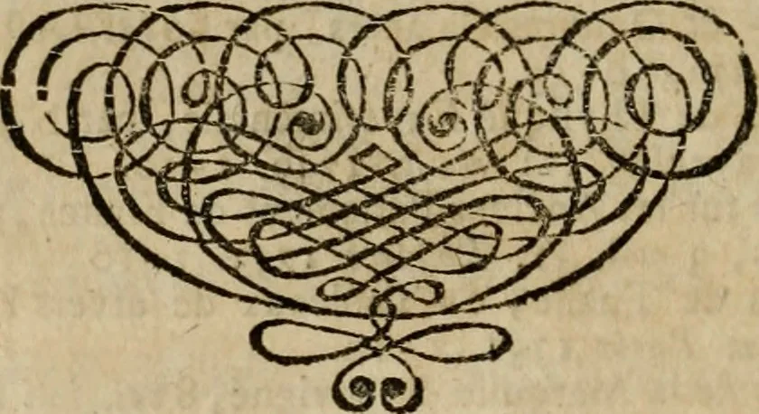 An illustration from Catalogue d'une nombreuse collection de livres en tout genre, rares et curieux : propres a satisfaire les amateurs et a fournir une partie de ce qui manque aux grandes bibliotheques : lesquels se vendront dans Berlin par Jean Neaulme, au commencement de l'année 1764 & dont le jour sera annoncé beaucoup d'avance par les gazettes .., 1763, leaf 259