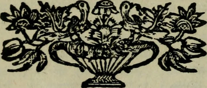 An illustration from Catalogue d'une nombreuse collection de livres en tout genre, rares et curieux : propres a satisfaire les amateurs et a fournir une partie de ce qui manque aux grandes bibliotheques : lesquels se vendront dans Berlin par Jean Neaulme, au commencement de l'année 1764 & dont le jour sera annoncé beaucoup d'avance par les gazettes .., 1763, leaf 218