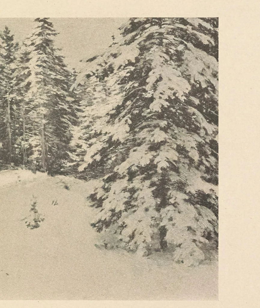 An illustration from Catalogue of the exhibition of paintings by Ten American painters, April 11 to May 3, 1908, 1908, leaf 39
