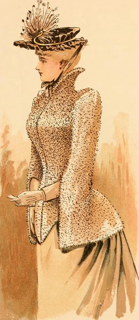 An illustration from Catalogue : fall and winter 1891., 1891, leaf 12