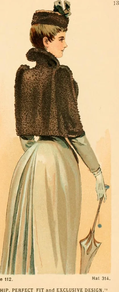 An illustration from Catalogue : fall and winter 1891., 1891, leaf 14