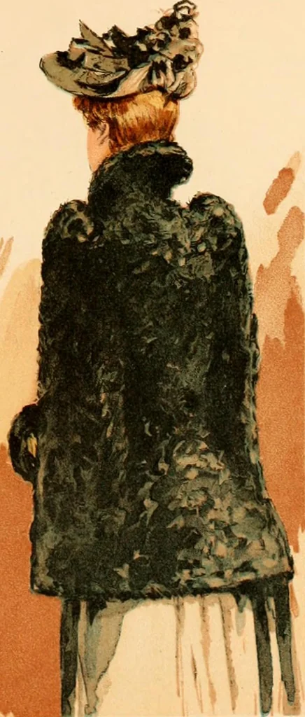 An illustration from Catalogue : fall and winter 1891., 1891, leaf 16